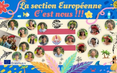 SECTION EUROPEENNE